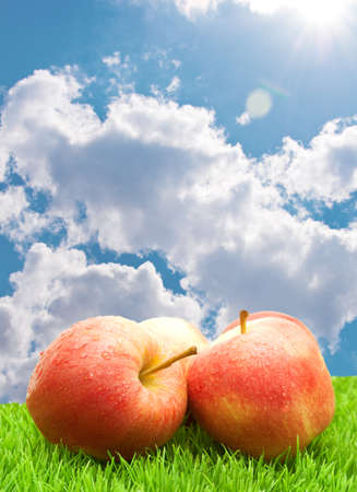 Red Apples on Green Grass under Blue Skyの写真素材