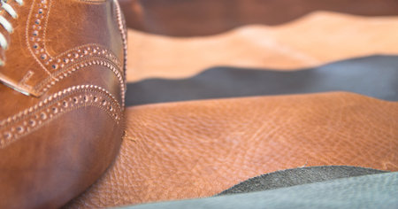 Man business shoe leather 