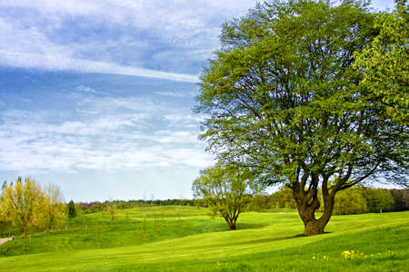 Golfcourseの写真素材