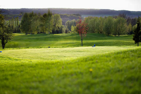 Golfcourse - teeの写真素材