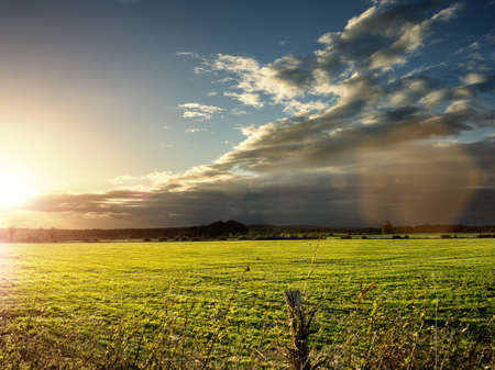 Field of grass on a sunny autumn or spring day  Backlite shot with nice lens flareの写真素材