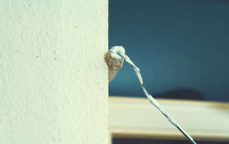 Close up of painter working with paint roller and brushes to paint the room in white colors. dig - do it yourselfの写真素材