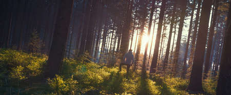 Young man stand in forrest and enjoys nature and sunlightの写真素材
