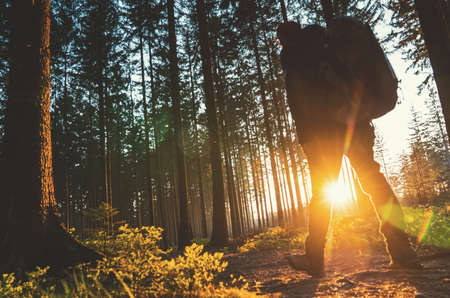Young man stand in forrest and enjoys nature and sunlightの写真素材