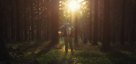 Young man stand in forrest and enjoys nature and sunlightの写真素材