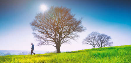 Lonely tree on a field of grass in spring with beautiful bright sun raysの写真素材
