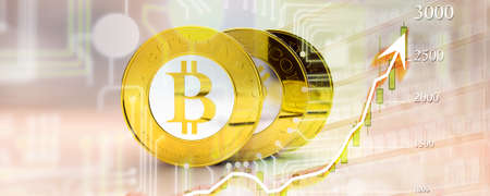 bitcoins - bit coin BTC the new virtual money with chartのeditorial素材