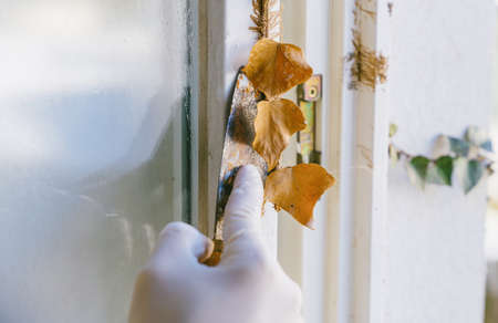 Close up of painter working with paint roller and brushes to paint the room in white colors. dig - do it yourselfの写真素材