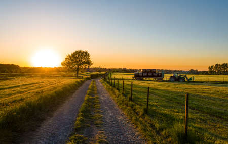 Working Tractor agicultural machinery on a sunny spring day at a field of grass - sunset or sunriseの写真素材