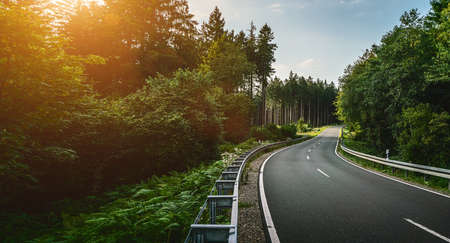 Long Curvy Forest Road In Alpine Mountainsの写真素材