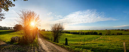 Beautiful Forest in golden autumn with beautiful bright sun rays - wanderlustの写真素材