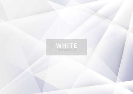 Abstract geometric white and gray background decorative halftone texture. You can use for ad, poster, template, business presentation. Vector illustrationのイラスト素材
