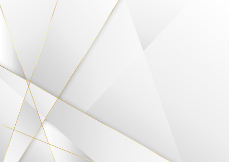 Abstract luxury white grey background with golden line. Vector illustrationのイラスト素材