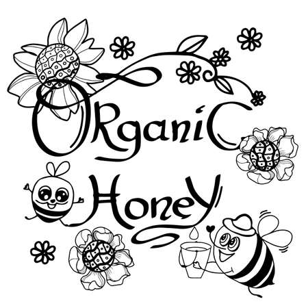 Honey bee . Hand drawn engraving style illustrations. Vintage label with ink hand drawn sketch of bumblebee. Stock vector illustration.のイラスト素材