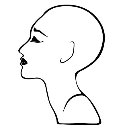 Face in profile isolated on white background. A human head silhouette. Flat vector isolated illustration.のイラスト素材