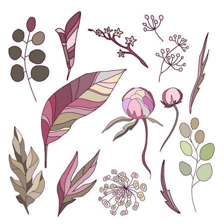 Drawn flower peony, flowers and leaves peonies, watercolor rose isolated on white background, floral set, vector design for invitation, wedding, save the date, card, holiday, summer designのイラスト素材