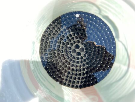 A bucket filled with water with a black coil in the bottom.の写真素材