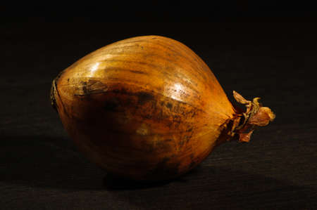 Onion on black backgroundの写真素材