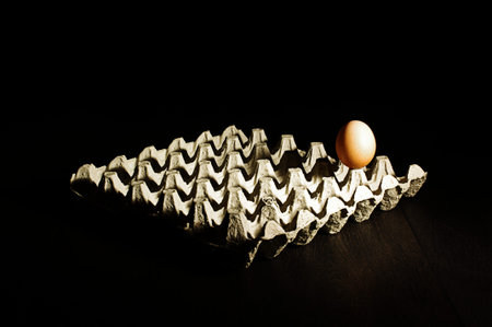 One egg on the case