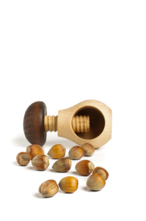 Nut cracker with hazelnutsの写真素材