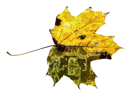 Maple leaf with PCB trace texture