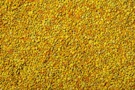 Golden bee pollen granules abstract background