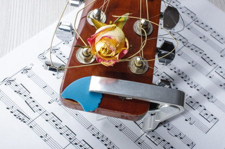 Guitar head with accessories still life