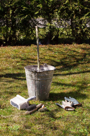 Limewash or whitewash equipment for early spring gardeningの写真素材