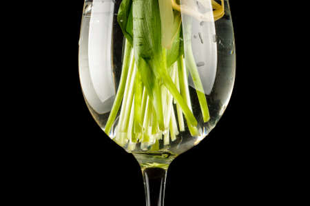 Freshness concept bouquet of flower immersed in the waterの写真素材