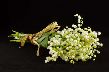 Lilies of the valley isolated on the dark backgroundの写真素材