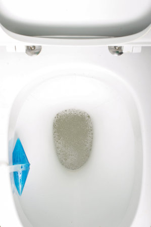 Toilet bowl top view