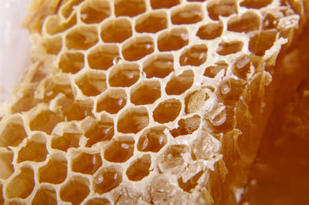 Macro shot of honeycomb full of honeyの写真素材