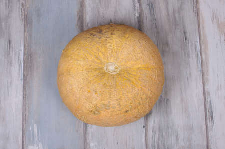 Pumpkin isolated on the reclaimed wood backgroundの写真素材