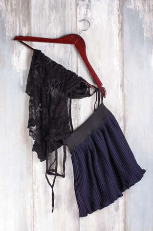 Sexy lingerie and skirt on the hangerの写真素材