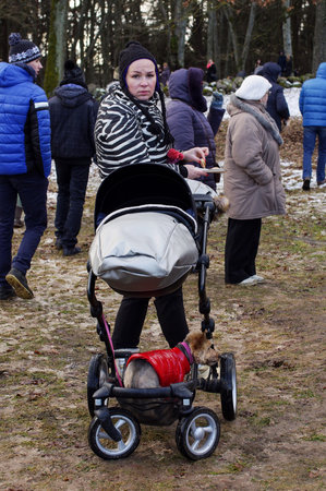 KAUNAS, LITHUANIA - FEBRUARY 25: Young modern lady with child stroller and dog in Rumsiskes on Feb...