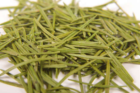 Fir needles close upの写真素材