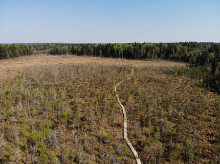 Dubrava minor reserve nature close to Kaunas in Lithuania during springtime