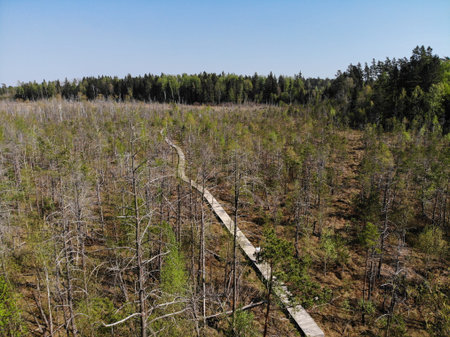 Dubrava minor reserve nature close to Kaunas in Lithuania during springtime