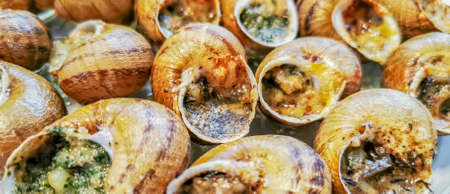 Snails snack with different types of stuffingの写真素材
