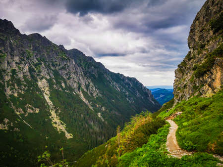 A close up of a hillside and trail next to a mountain.の写真素材