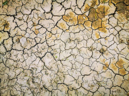 Dry cracked ground damaged by droughtの写真素材