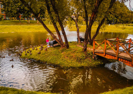 Girl and father feeding ducks in the island with the bridge in the park in autumnの写真素材