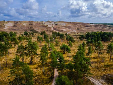 Aerial view of dead grey dunes in Curonian spit National park and reserve, Lithuaniaの写真素材
