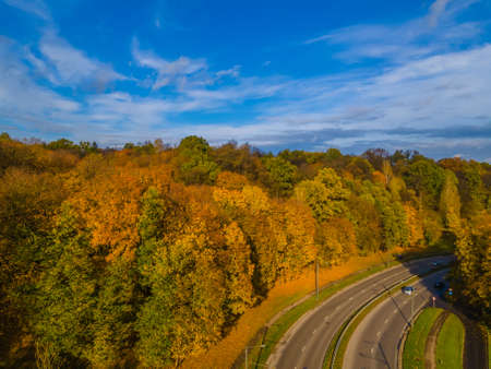 Road bend in the autumn falling golden trees background and blue sky over itの写真素材