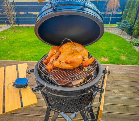 Grilled full turkey in egg type grill. Turkey preparing in kamado grill over hot charcoal in garden terrace for barbecue party. Marinated and stuffed turkey. Cooking outdoor. Close upの写真素材