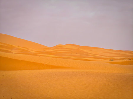 Sand dunes in Sahara desert in Merzougha, Morocco, North Africaの写真素材
