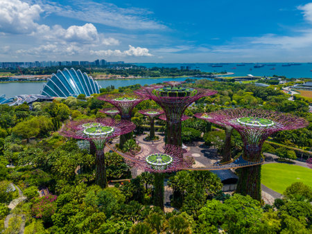 Gardens by the Bay in Singapore. Botanical garden with supertree grove. Aerial drone viewの写真素材