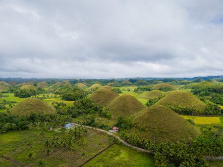 Aerial drone view of Chocolate hills in Bohol island, Philippines. Panoramic view of geological formation of green and brown hillsの写真素材