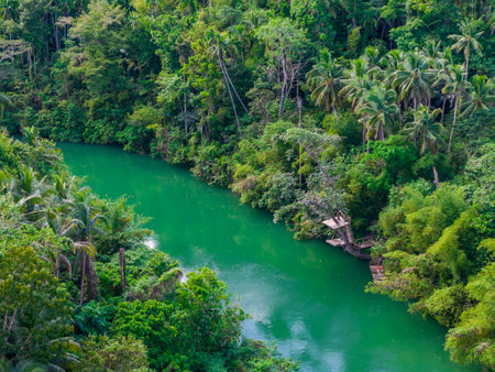 Loboc River with palm trees in Bohol island, Philippines. Aerial drone view of river popular for river cruisesの写真素材