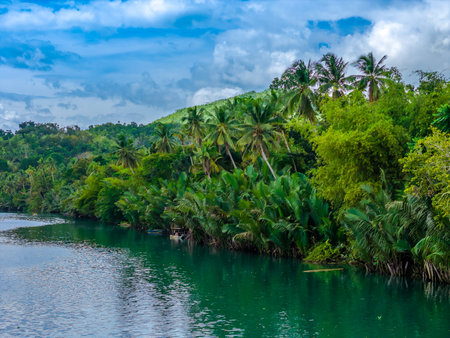Loboc River with palm trees in Bohol island, Philippines. Aerial drone view of river popular for...